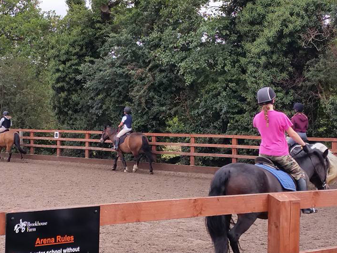 Brookhouse Farm Riding School BHF Horse, riding, lessons, tuition
