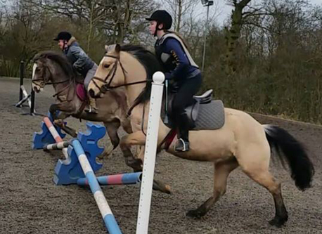 Show Jumping Clinics