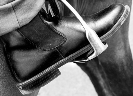 Stable Management